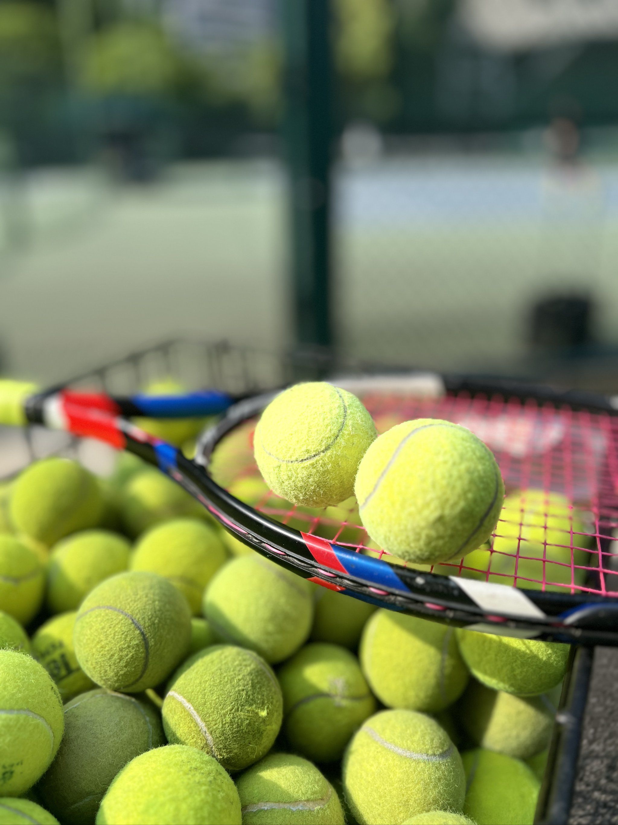 名宿对孔蒂 名宿对孔蒂