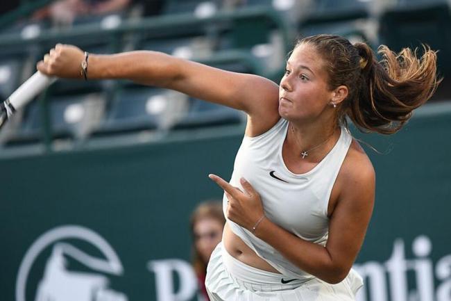 马斯克不怕 马斯克不怕